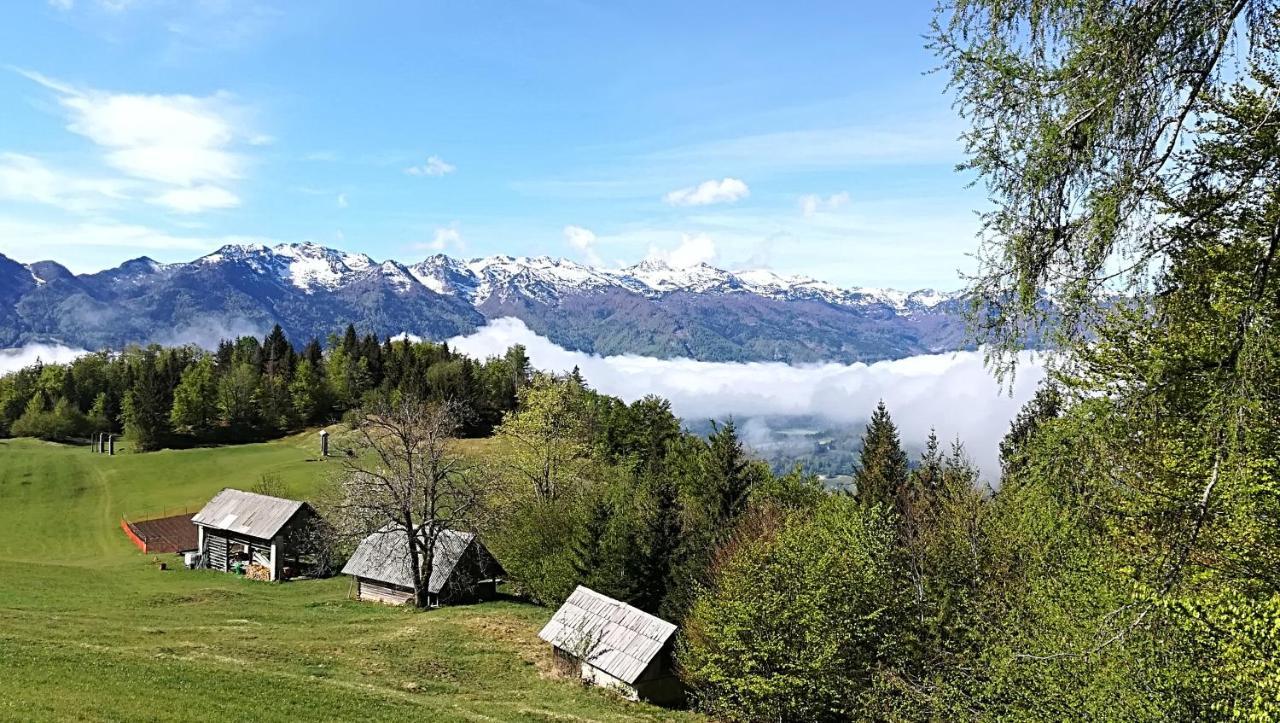 Apartments Pod Rodico Bohinjska Bistrica Eksteriør bilde
