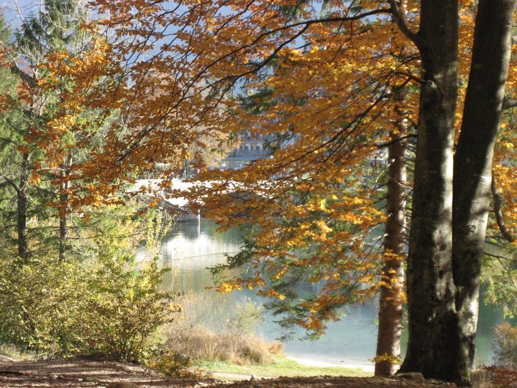 Apartments Pod Rodico Bohinjska Bistrica Rom bilde