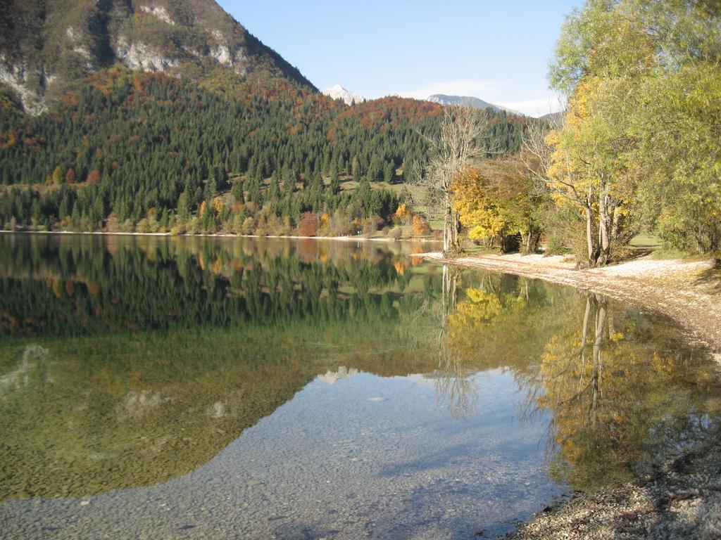 Apartments Pod Rodico Bohinjska Bistrica Eksteriør bilde
