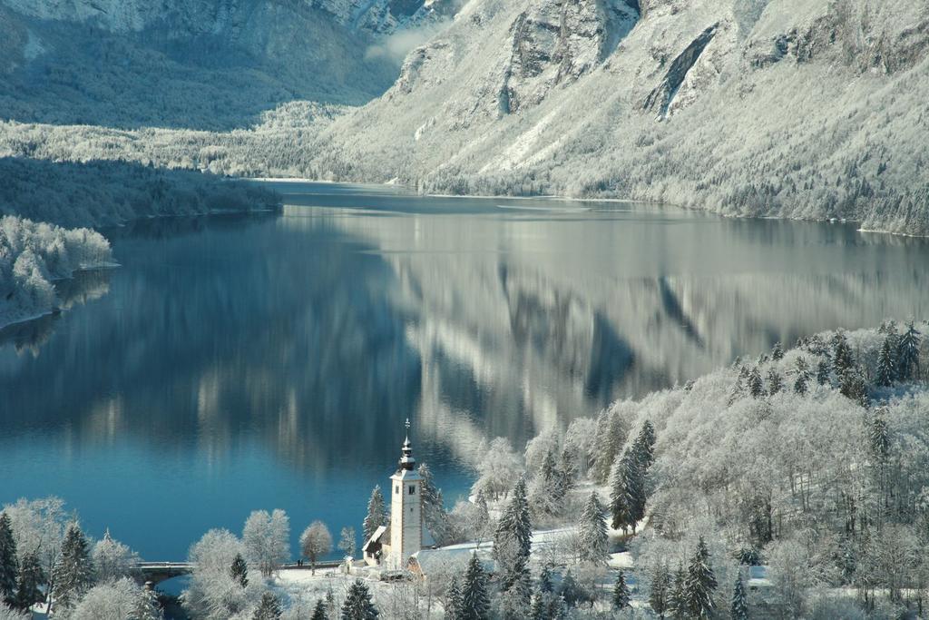 Apartments Pod Rodico Bohinjska Bistrica Eksteriør bilde