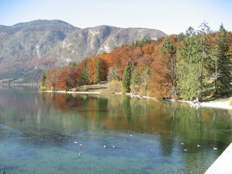 Apartments Pod Rodico Bohinjska Bistrica Eksteriør bilde