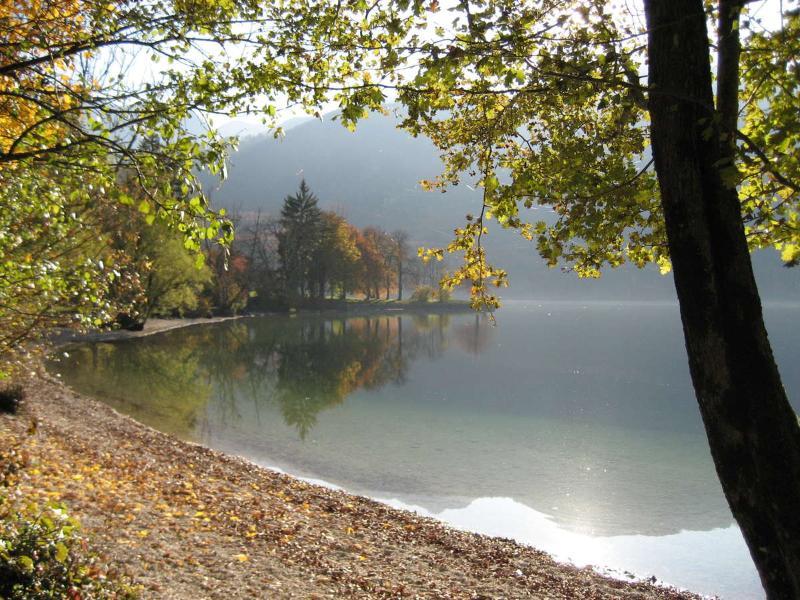 Apartments Pod Rodico Bohinjska Bistrica Eksteriør bilde